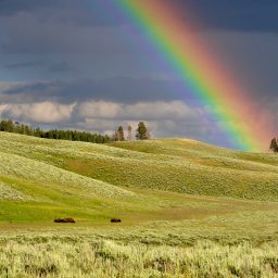 A beautiful rainbow in a rural landscape.