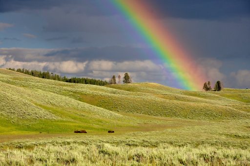 A beautiful rainbow in a rural landscape.