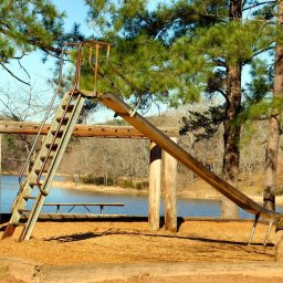 A children's playground in a woodland setting.