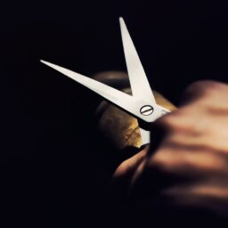 A hand holding a pair of scissors.